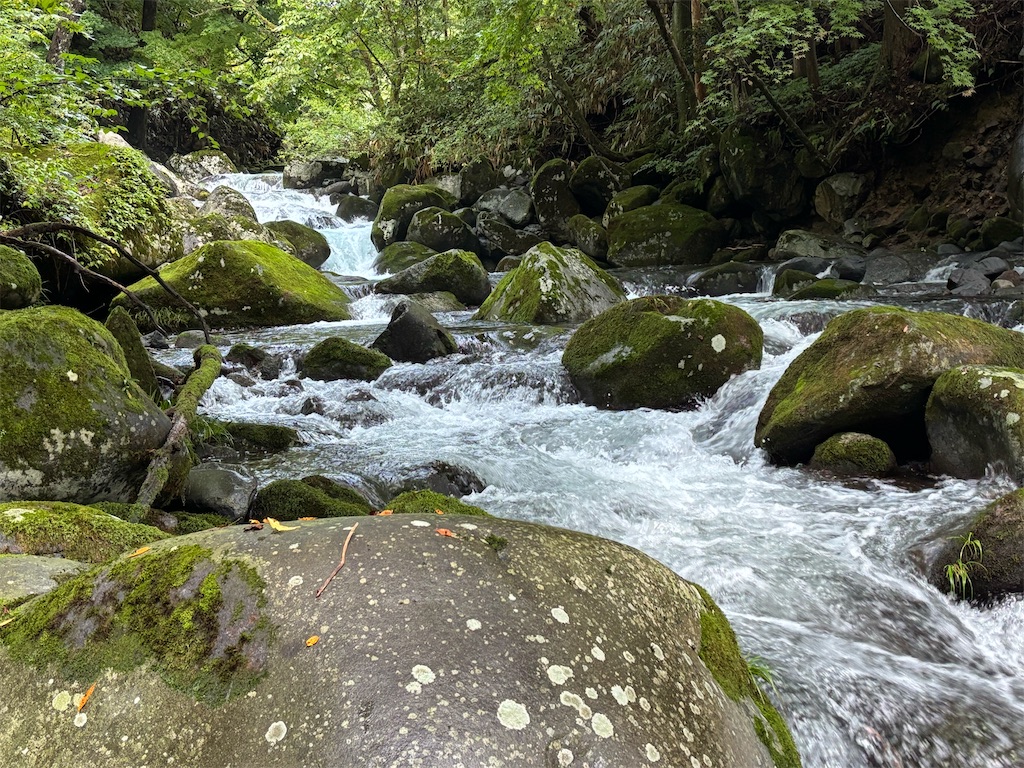 f:id:pirokitan:20250923211706j:image