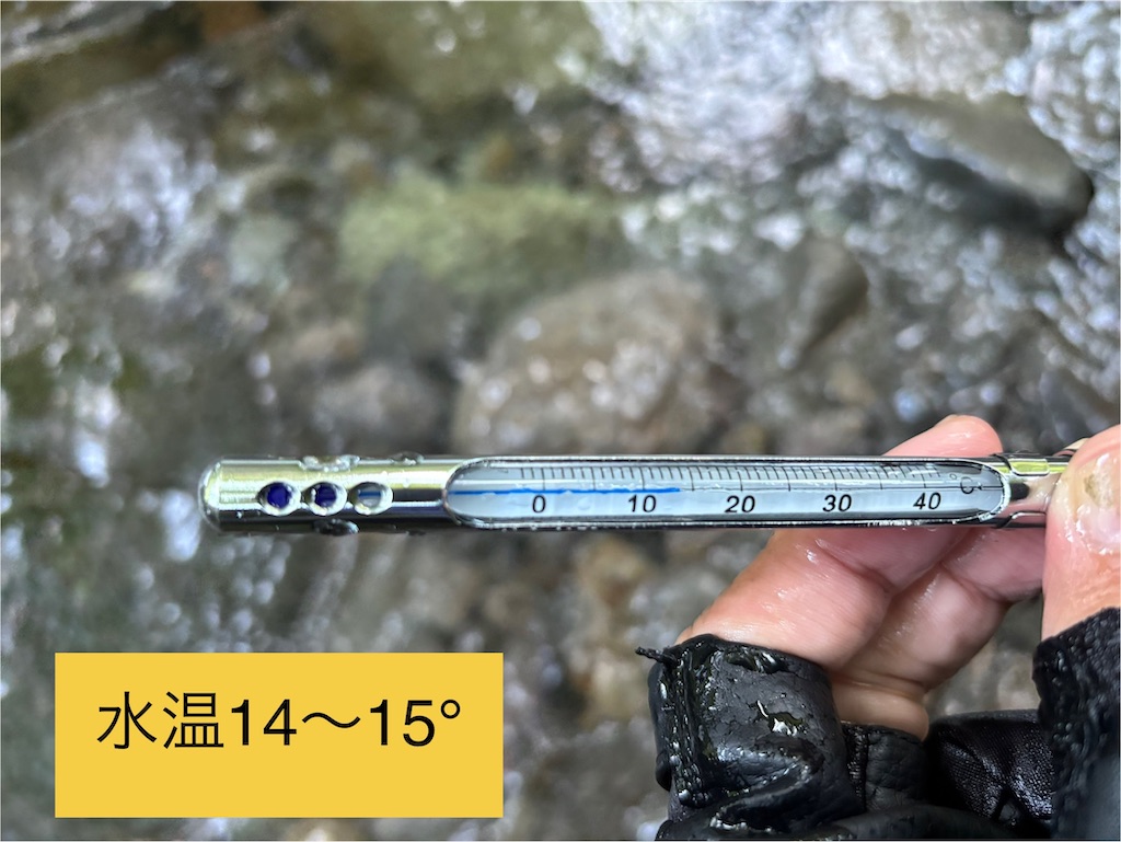 f:id:pirokitan:20250923212343j:image