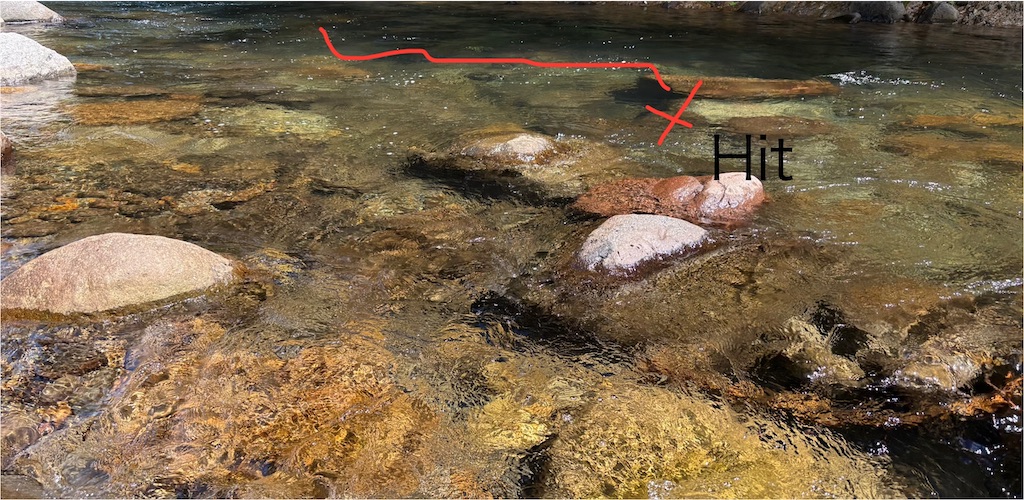 f:id:pirokitan:20250924063355j:image