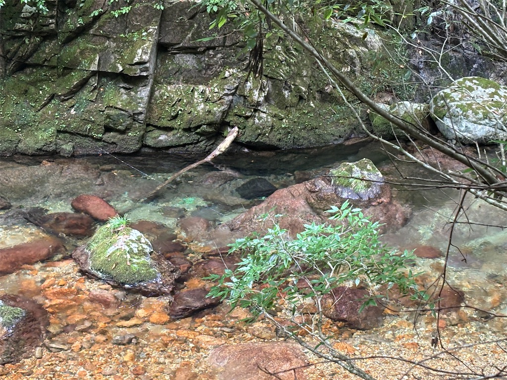 f:id:pirokitan:20250924064914j:image