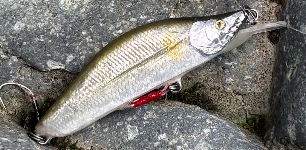 f:id:pirokitan:20250924064948j:image