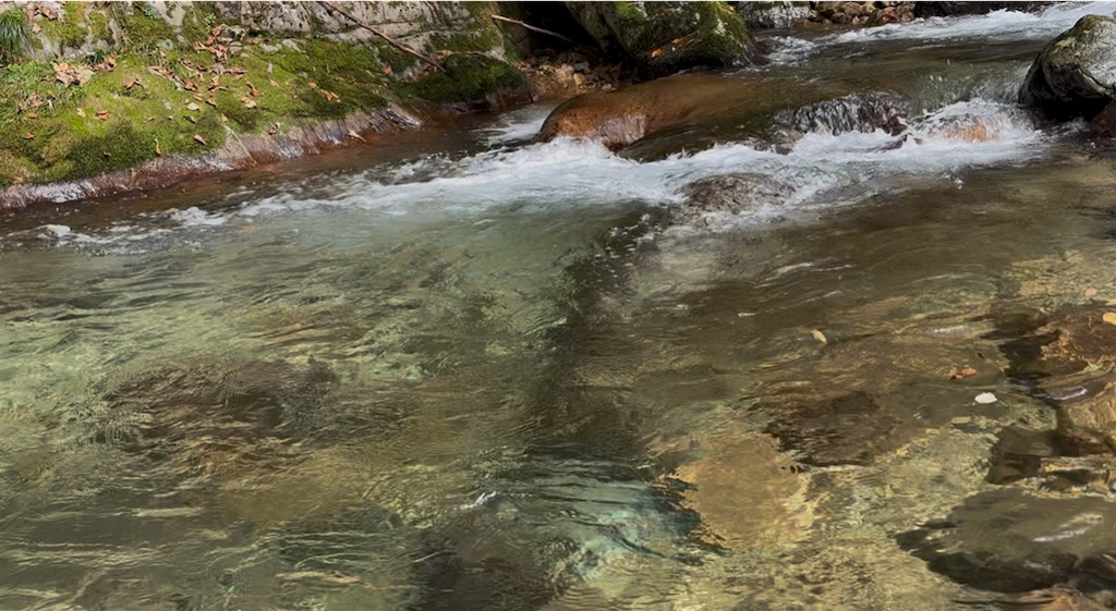 f:id:pirokitan:20250924065036j:image