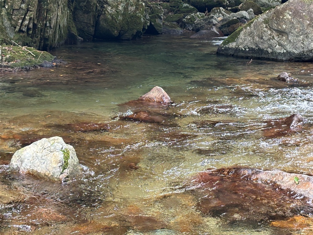 f:id:pirokitan:20250924070036j:image