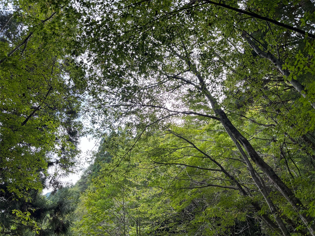 f:id:pirokitan:20250924070100j:image