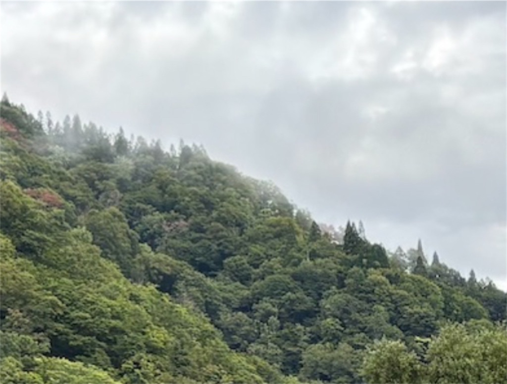 f:id:pirokitan:20250929064041j:image