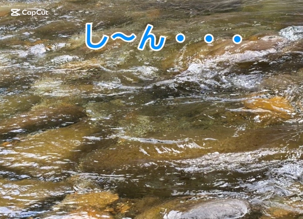 f:id:pirokitan:20250930062403j:image