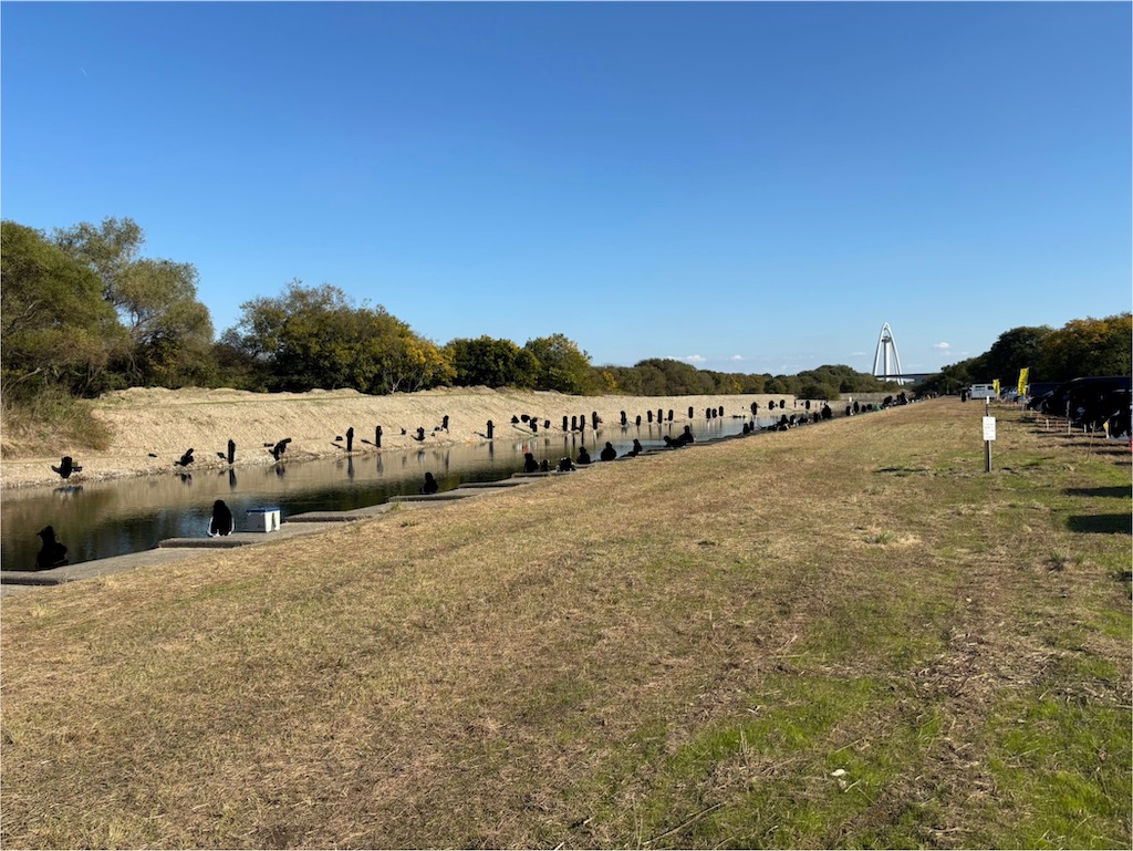 f:id:pirokitan:20251120064241j:image