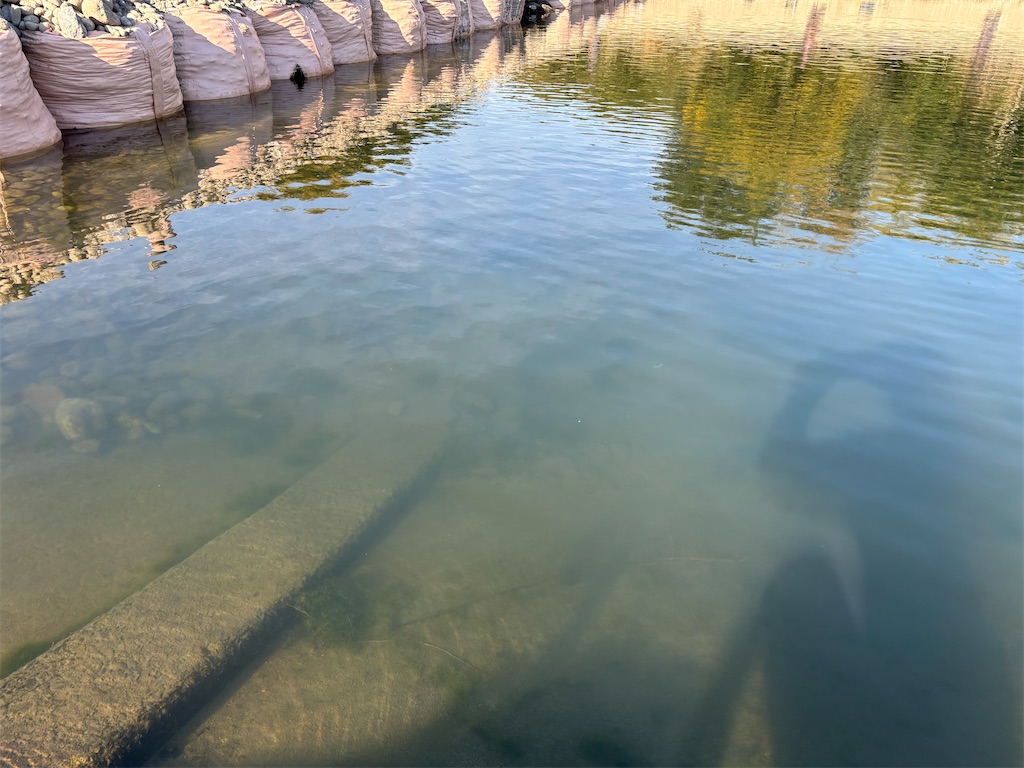 f:id:pirokitan:20251120064756j:image