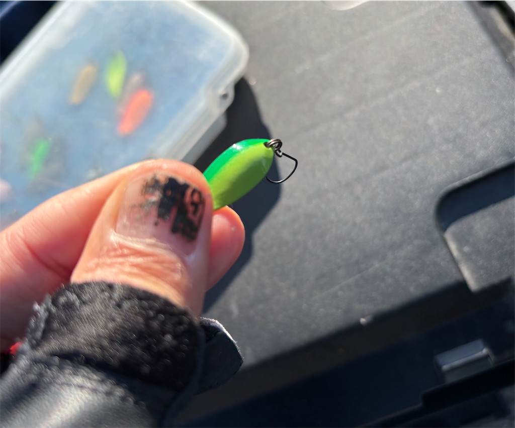 f:id:pirokitan:20251120065703j:image