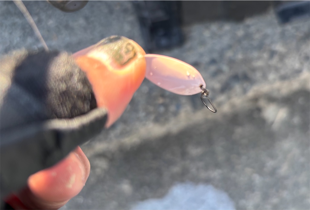 f:id:pirokitan:20251120065715j:image