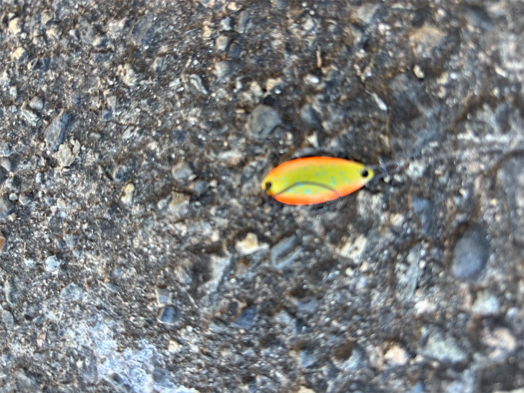 f:id:pirokitan:20251120065733j:image