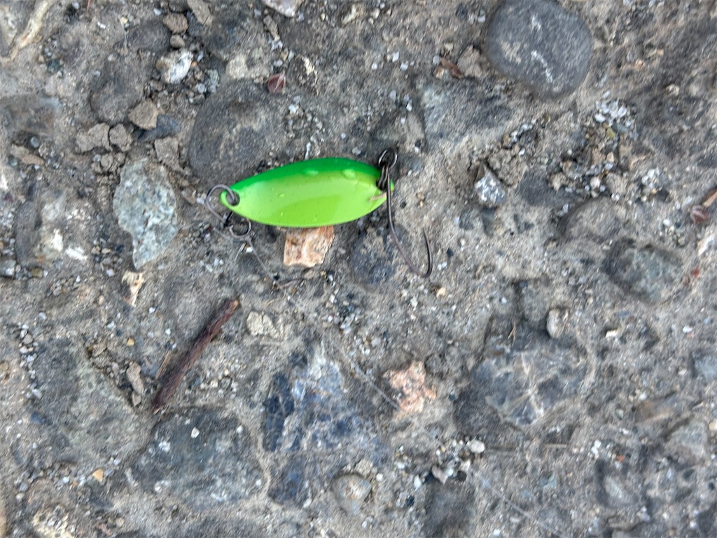 f:id:pirokitan:20251120065815j:image