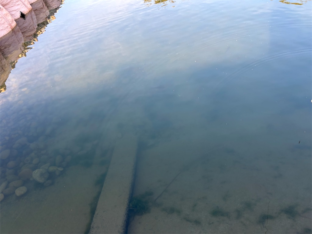 f:id:pirokitan:20251120065845j:image