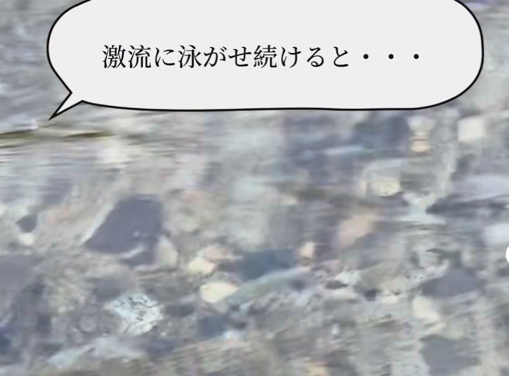 f:id:pirokitan:20251129141941j:image f:id:pirokitan:20251129141941j:image