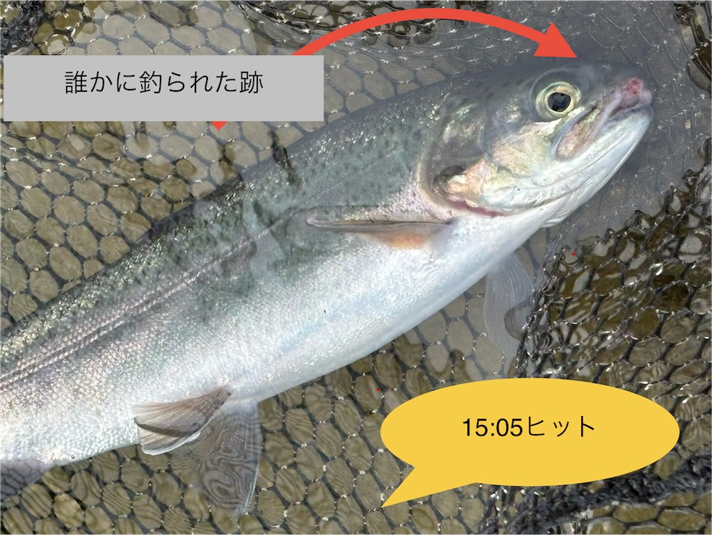 f:id:pirokitan:20251221223139j:image
