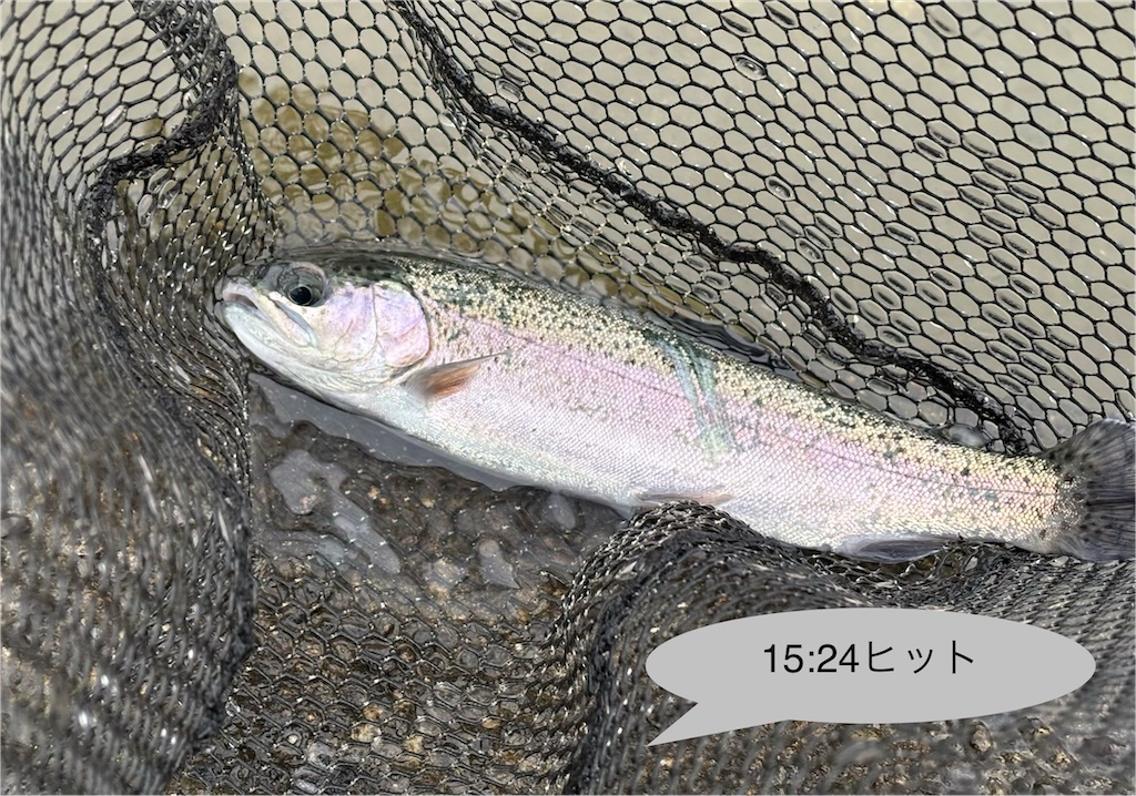 f:id:pirokitan:20251221223204j:image