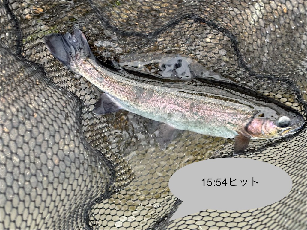 f:id:pirokitan:20251221223228j:image