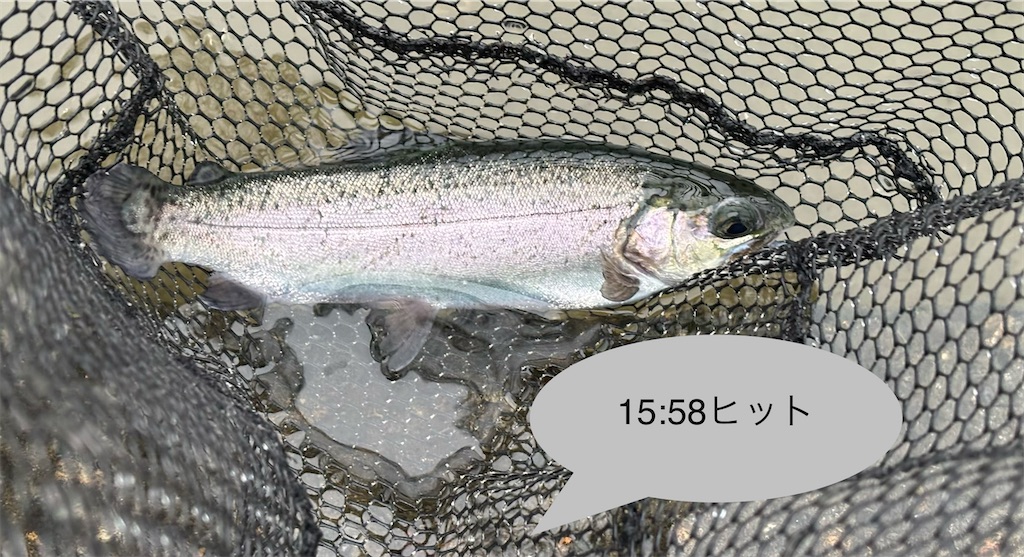 f:id:pirokitan:20251221223237j:image