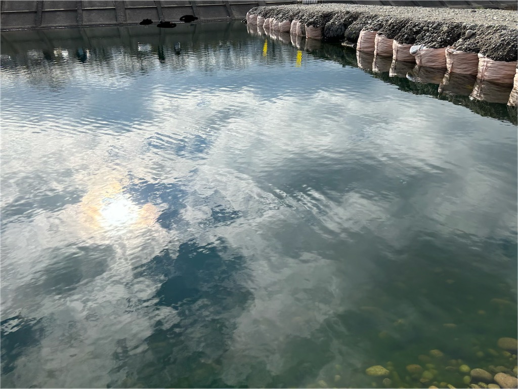 f:id:pirokitan:20251227185404j:image