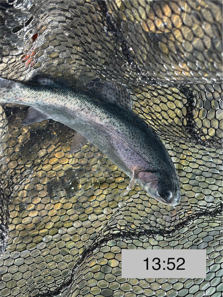 f:id:pirokitan:20251227185428j:image