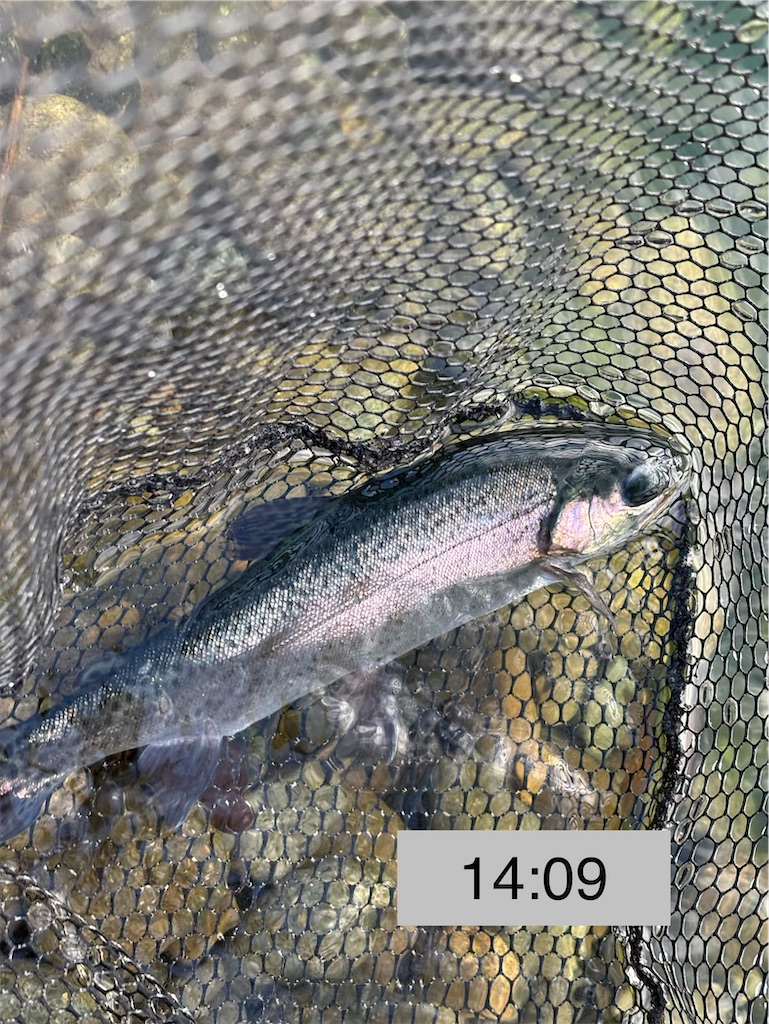 f:id:pirokitan:20251227185503j:image