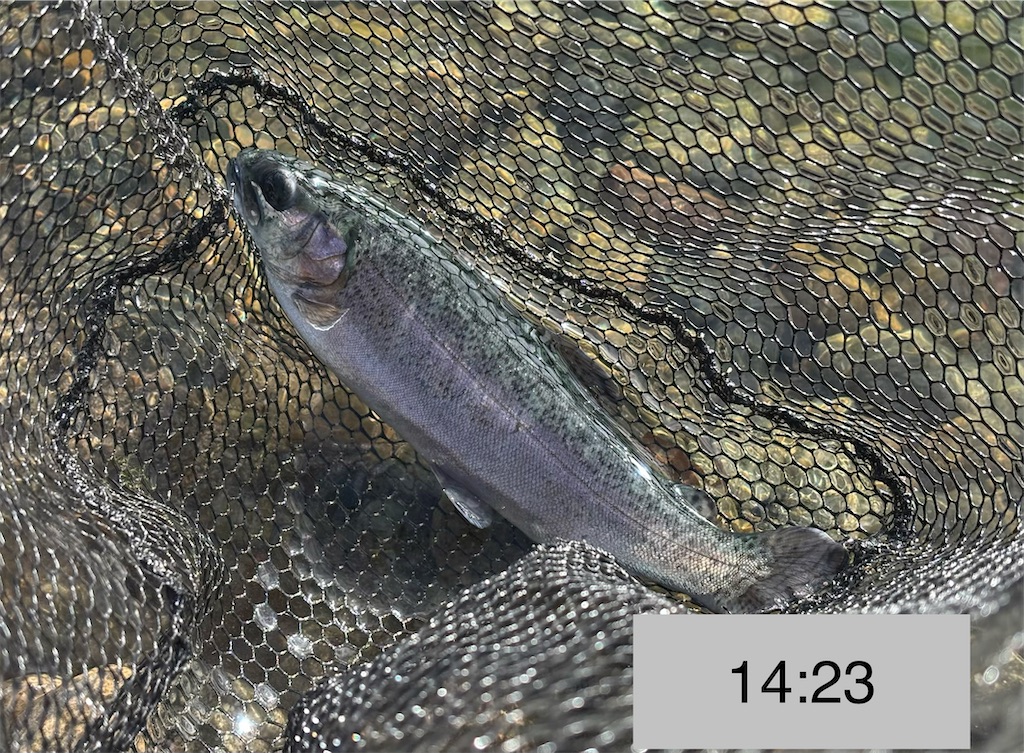 f:id:pirokitan:20251227185532j:image