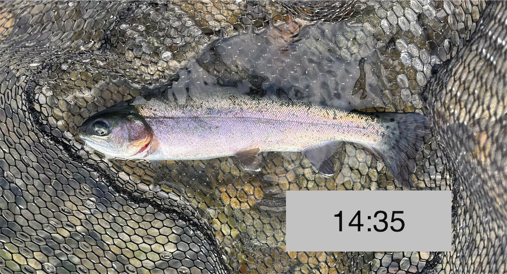 f:id:pirokitan:20251227185604j:image