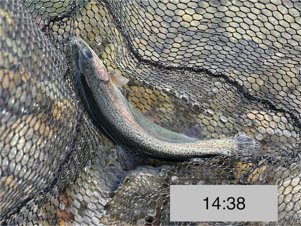 f:id:pirokitan:20251227185634j:image