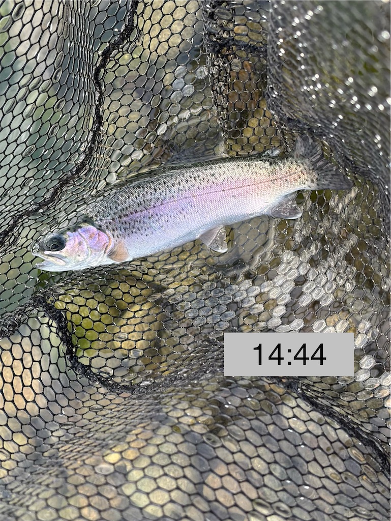 f:id:pirokitan:20251227185649j:image