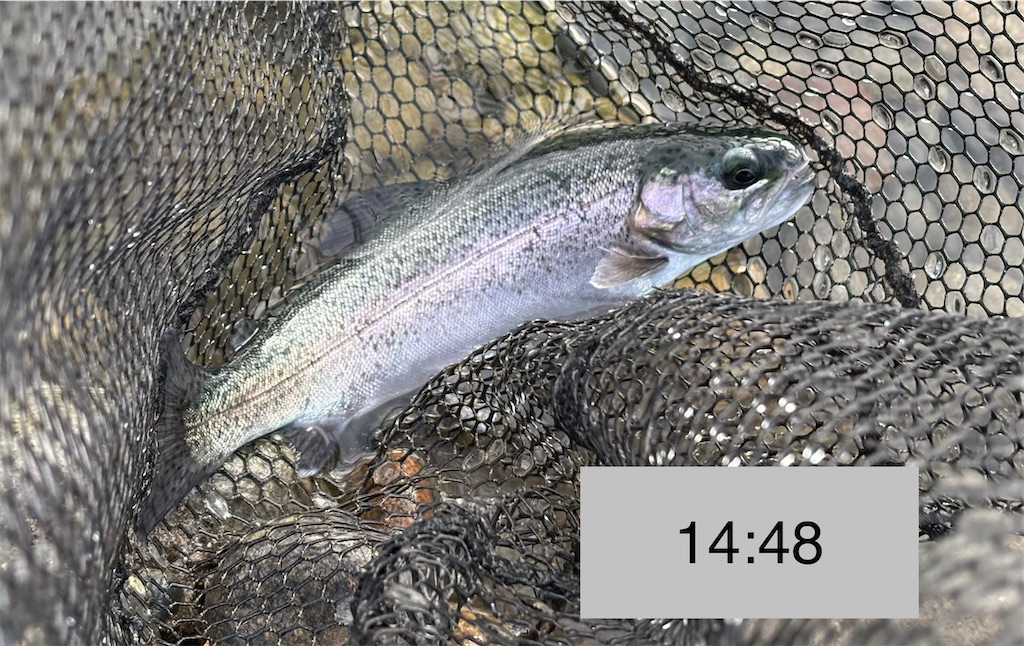 f:id:pirokitan:20251227185701j:image