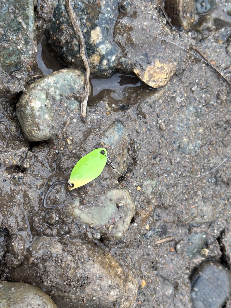 f:id:pirokitan:20251227185736j:image