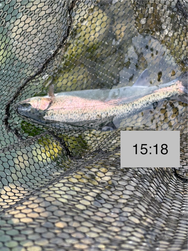 f:id:pirokitan:20251227185746j:image