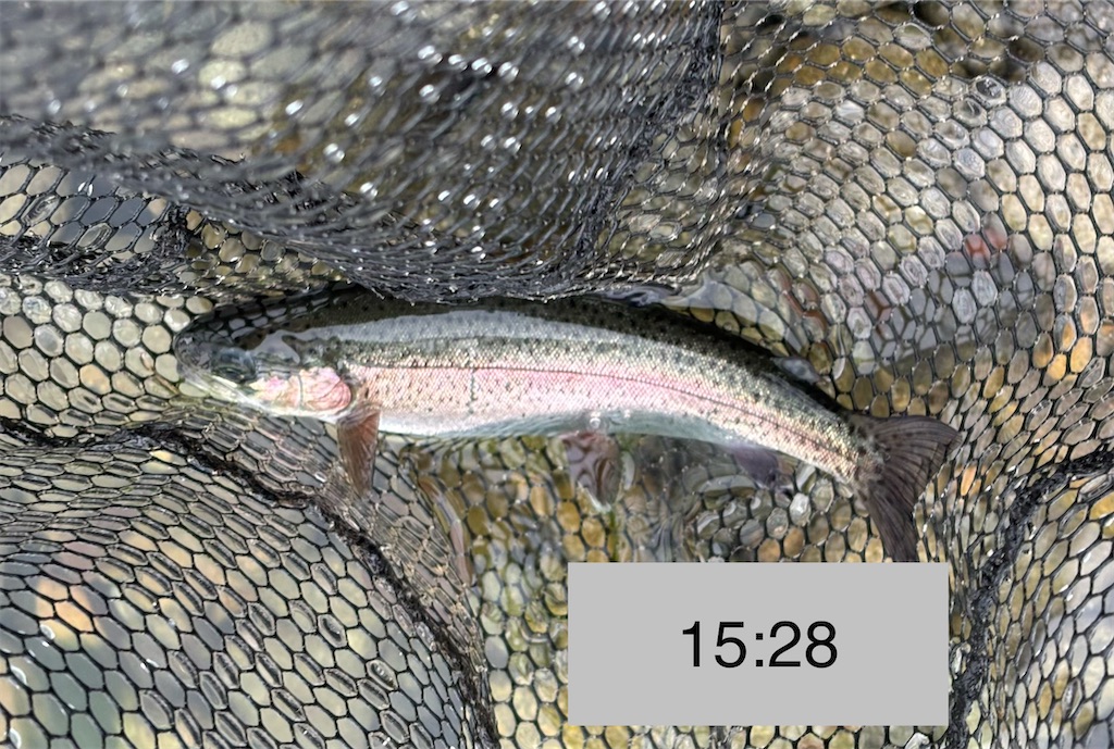 f:id:pirokitan:20251227185756j:image