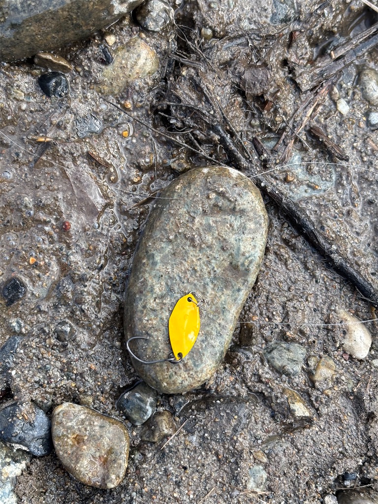 f:id:pirokitan:20251228203559j:image