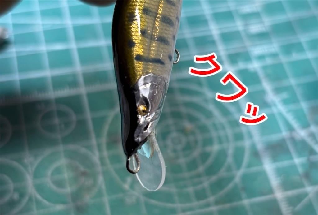 f:id:pirokitan:20260105202634j:image