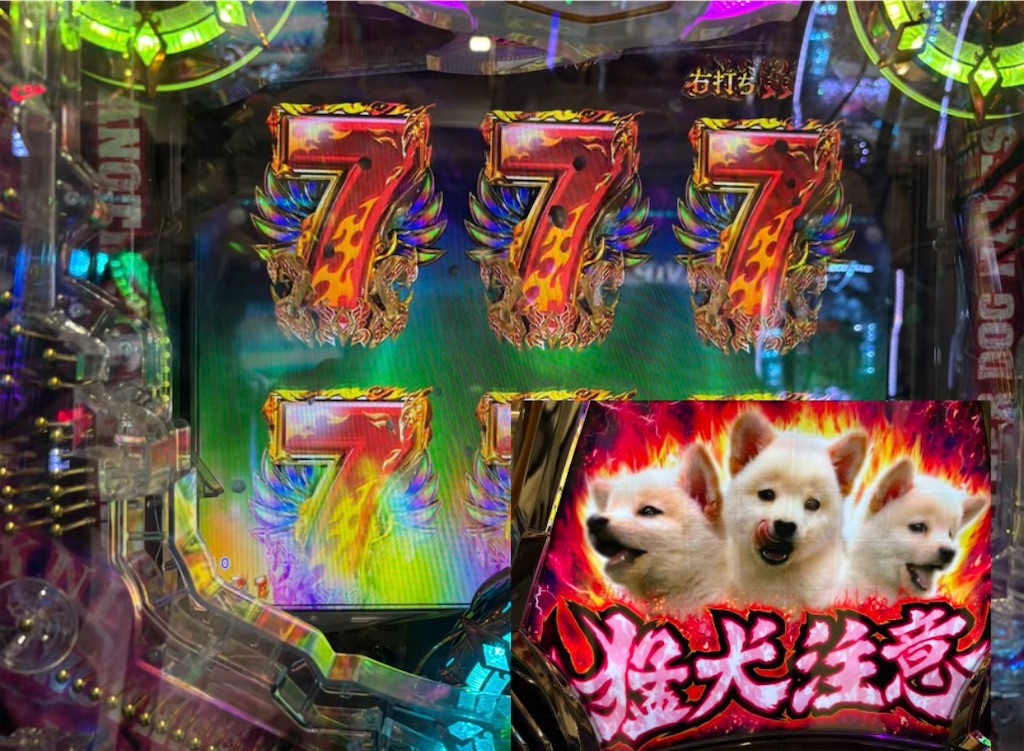 f:id:pirokitan:20260111091701j:image