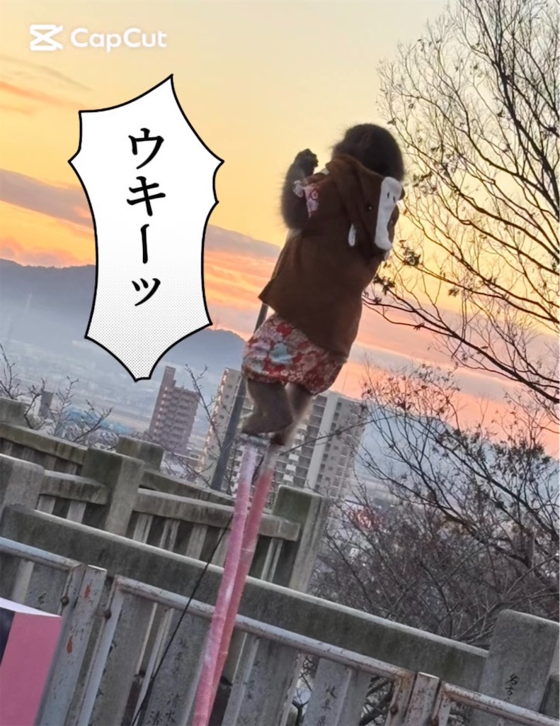 f:id:pirokitan:20260113063834j:image