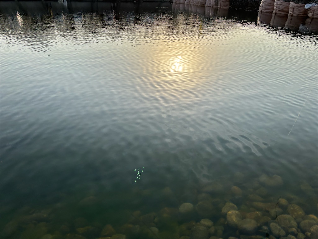 f:id:pirokitan:20260120064830j:image