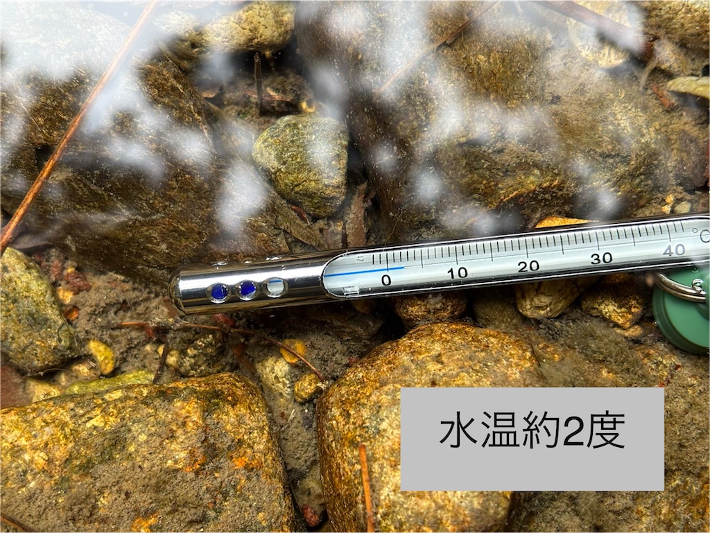 f:id:pirokitan:20260201191252j:image
