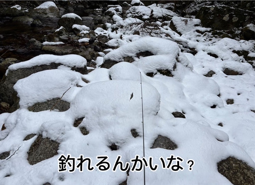 f:id:pirokitan:20260201191320j:image