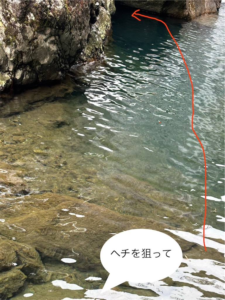 f:id:pirokitan:20260201191337j:image