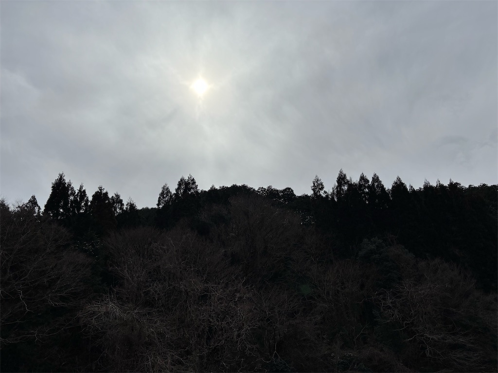 f:id:pirokitan:20260208163612j:image
