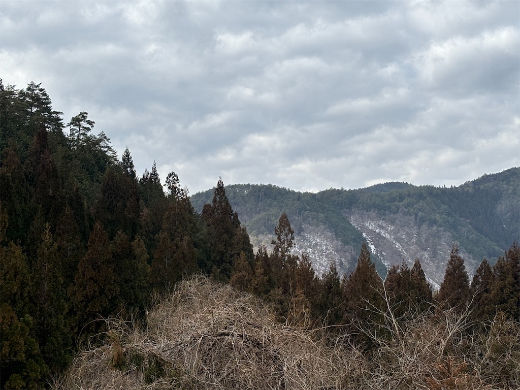 f:id:pirokitan:20260216095624j:image