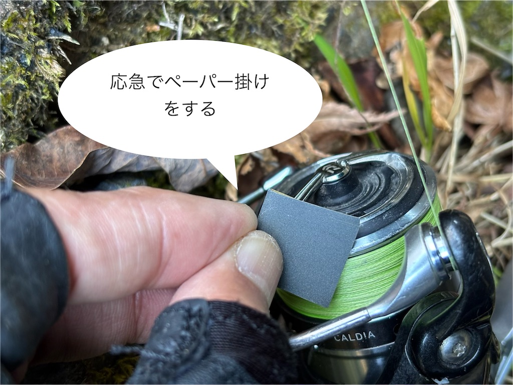 f:id:pirokitan:20260221232605j:image f:id:pirokitan:20260221232605j:image