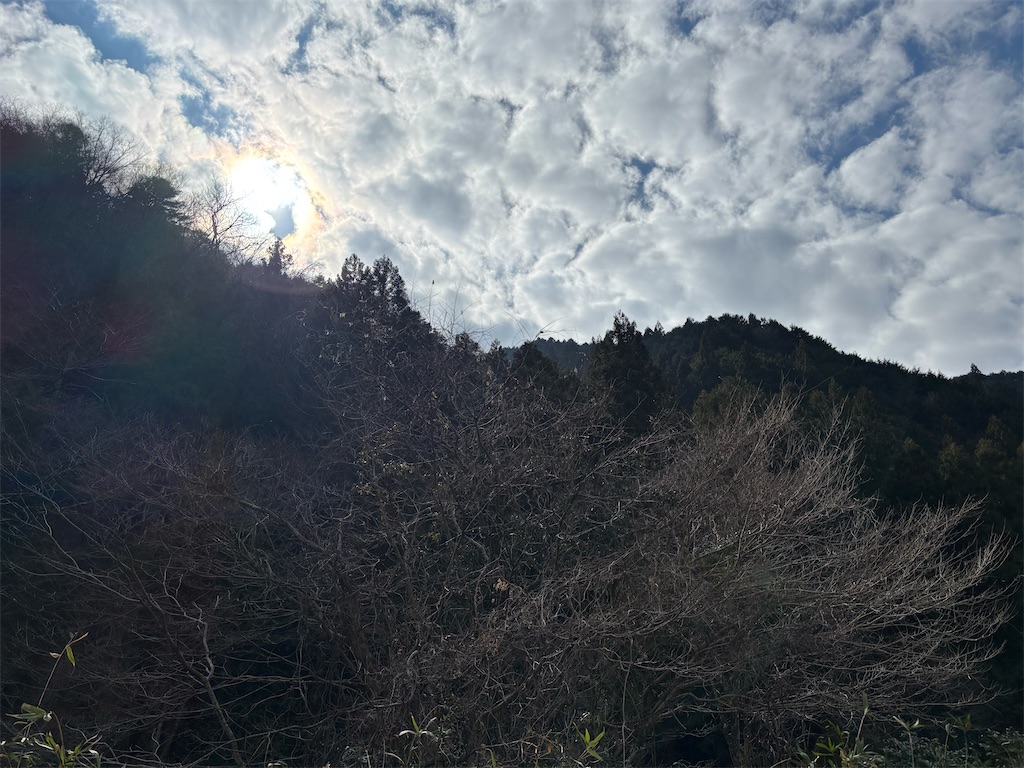 f:id:pirokitan:20260223210718j:image f:id:pirokitan:20260223210718j:image