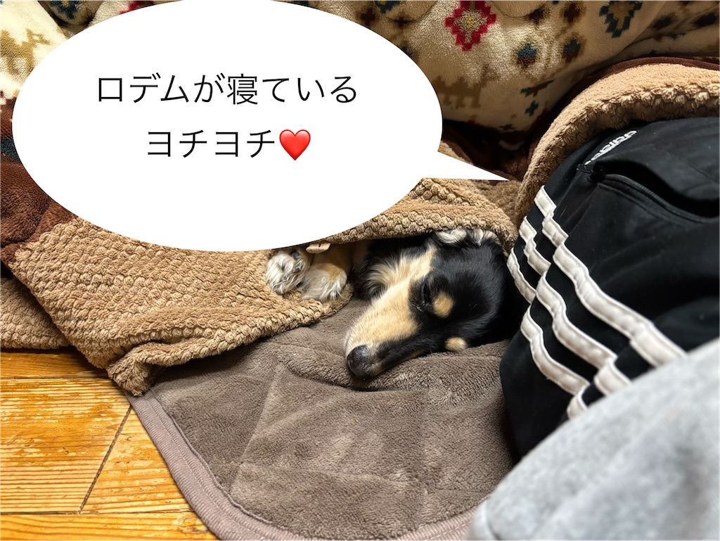 f:id:pirokitan:20260310065646j:image