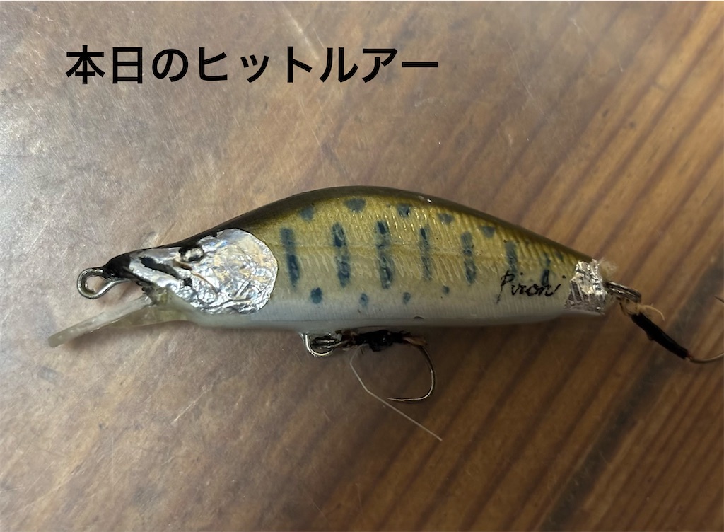 f:id:pirokitan:20260313064606j:image