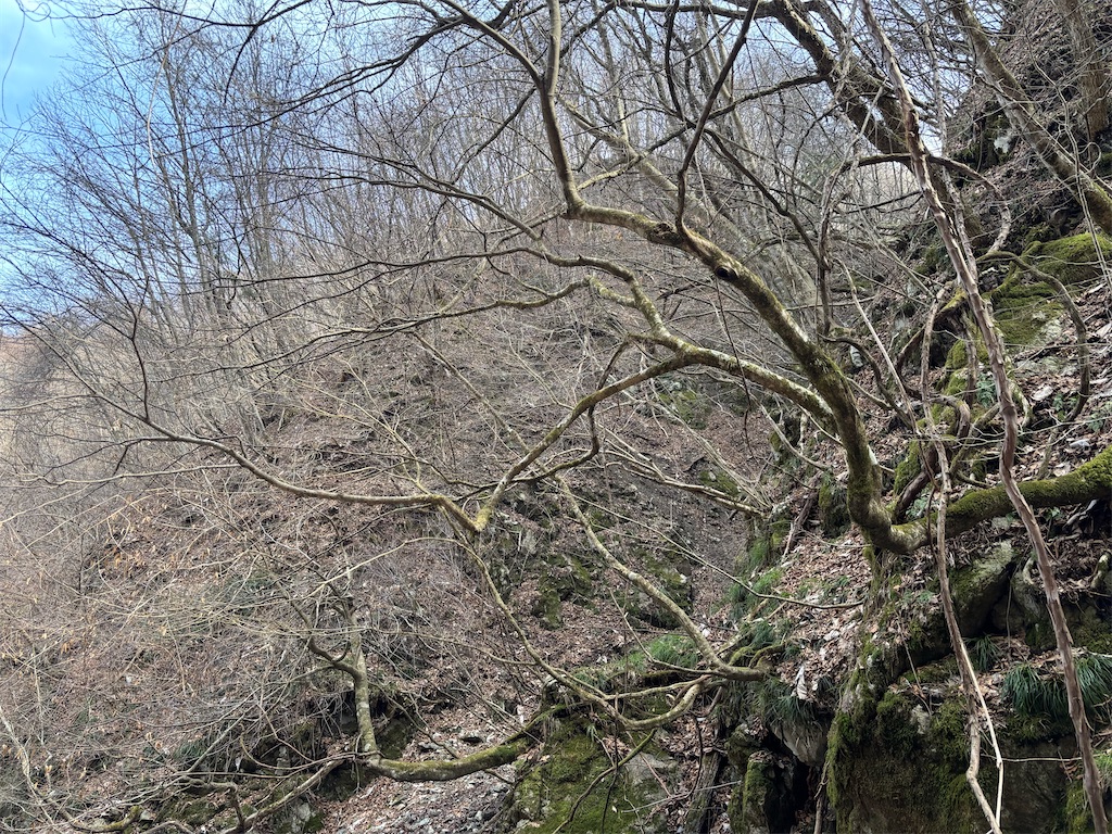 f:id:pirokitan:20260320191114j:image