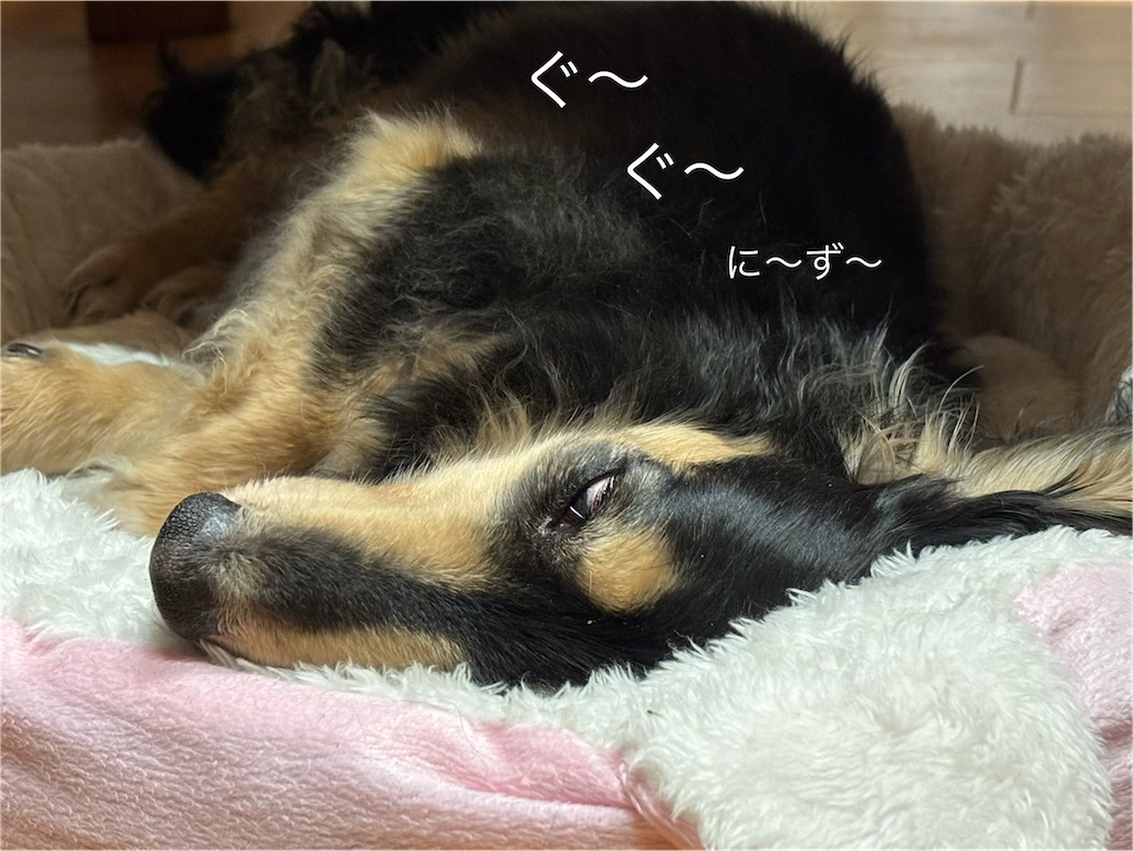 f:id:pirokitan:20260625065702j:image