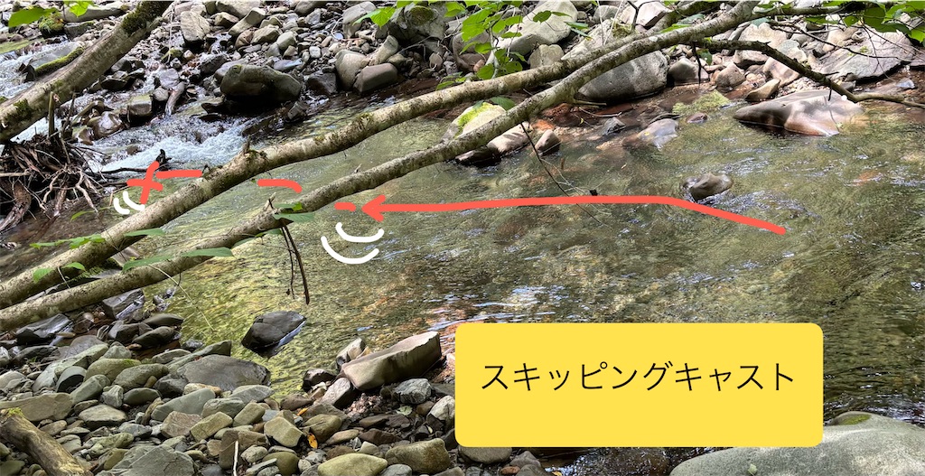f:id:pirokitan:20260826100117j:image f:id:pirokitan:20260826100117j:image